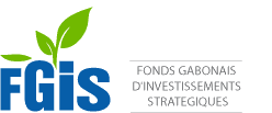 Fonds Gabonais d'Investissements Stratégiques