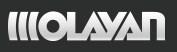 Olayan Investments Company Establishment