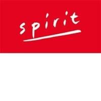 Spirit Immobilier