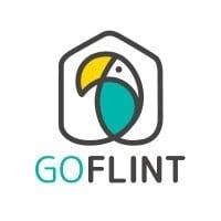 Goflint
