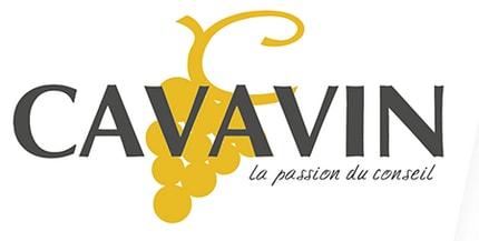 Cavavin