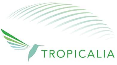 Opale Tropical Concept