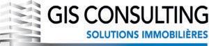 GIS Consulting