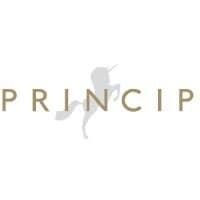 Princip
