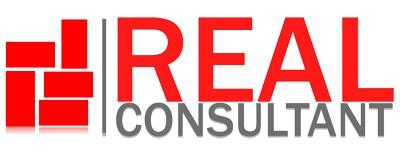 Real Consultant